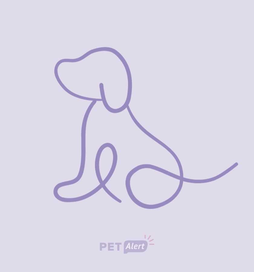 Foto de Animal visto