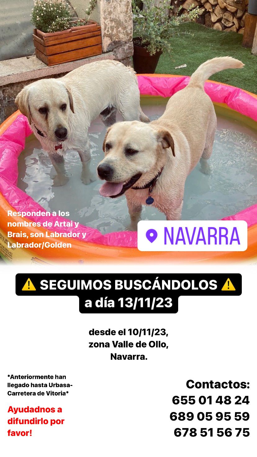 Foto de ARTAY Y BRAIS